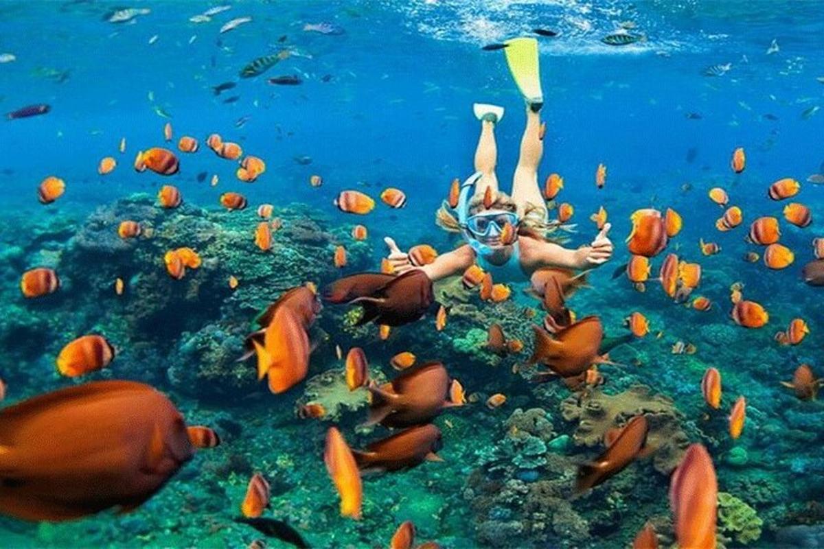 žena plave v oceánu s hejnem ryb