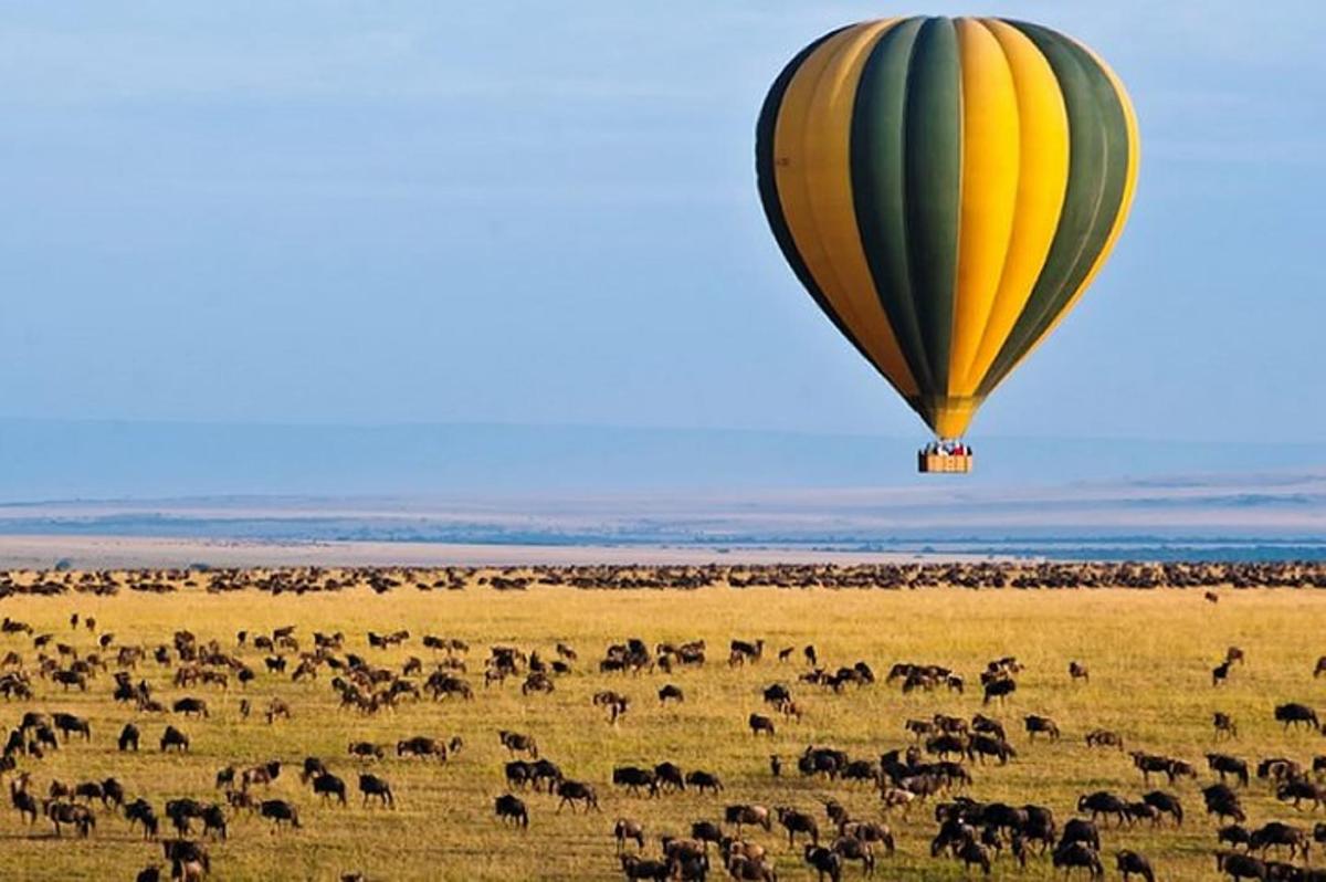 una mongolfiera che vola sopra una mandria di animali