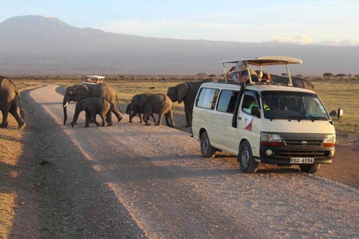 a van driving down a dirt road with a herd of elephants