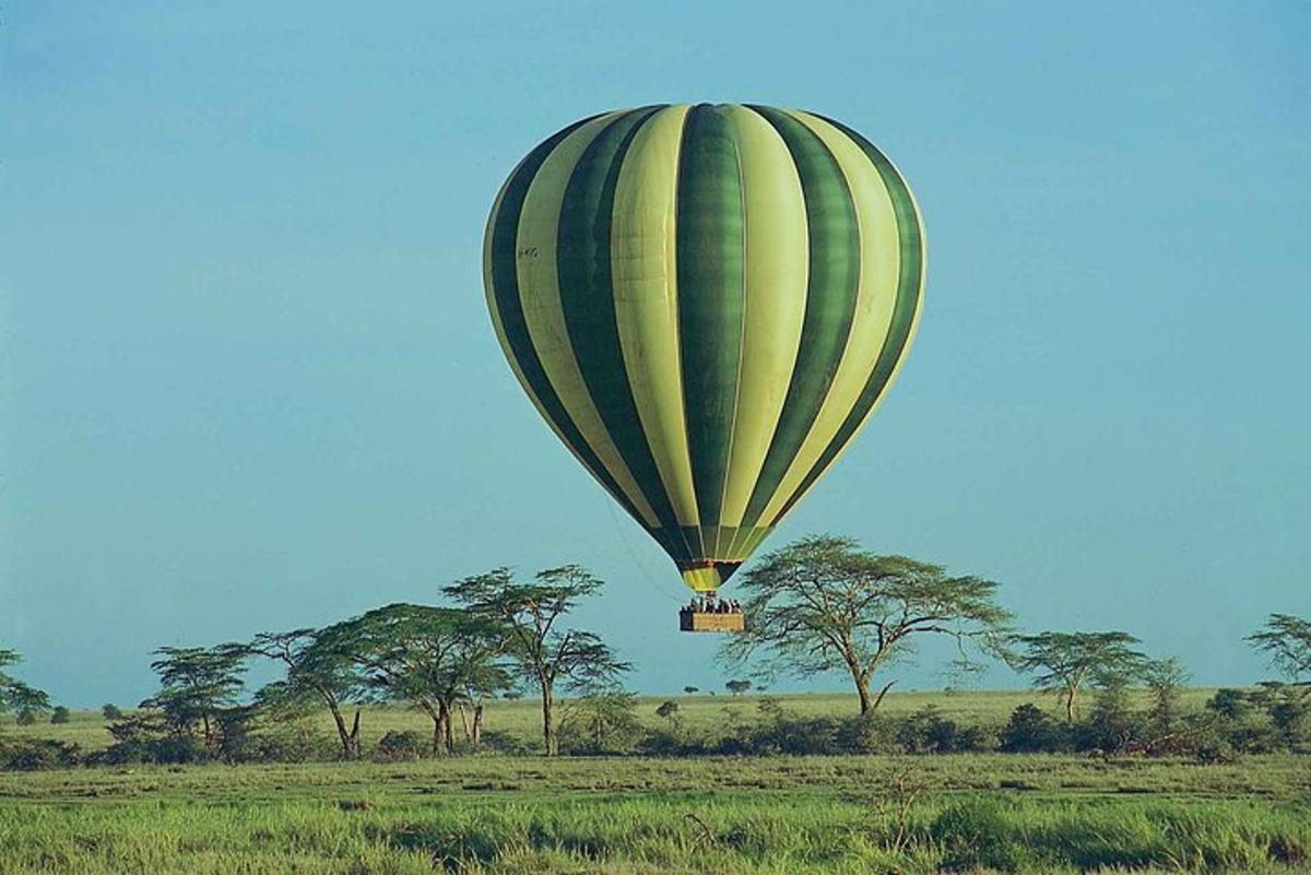 una mongolfiera che vola sopra un campo con alberi