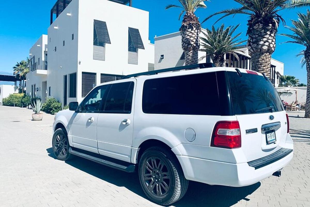 야자수가 있는 거리에 주차된 흰색 SUV