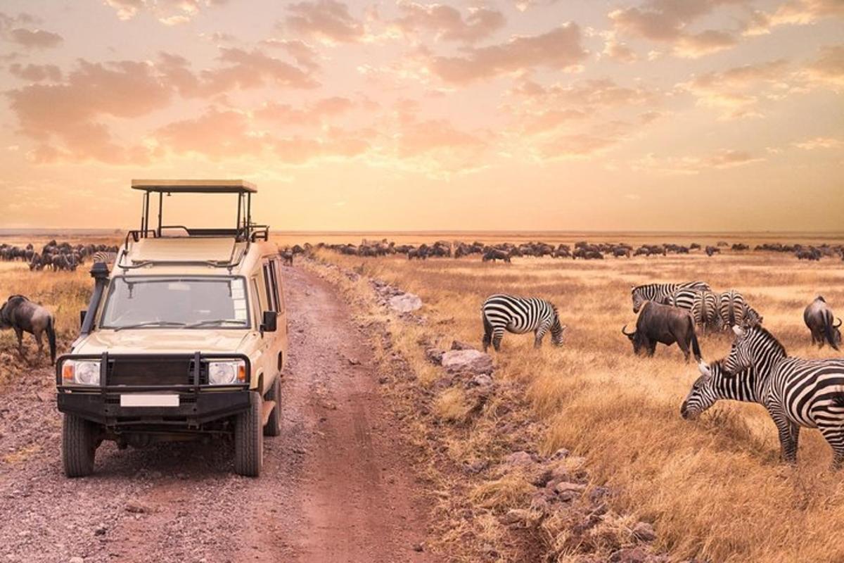 een jeep die over een onverharde weg rijdt met zebra's