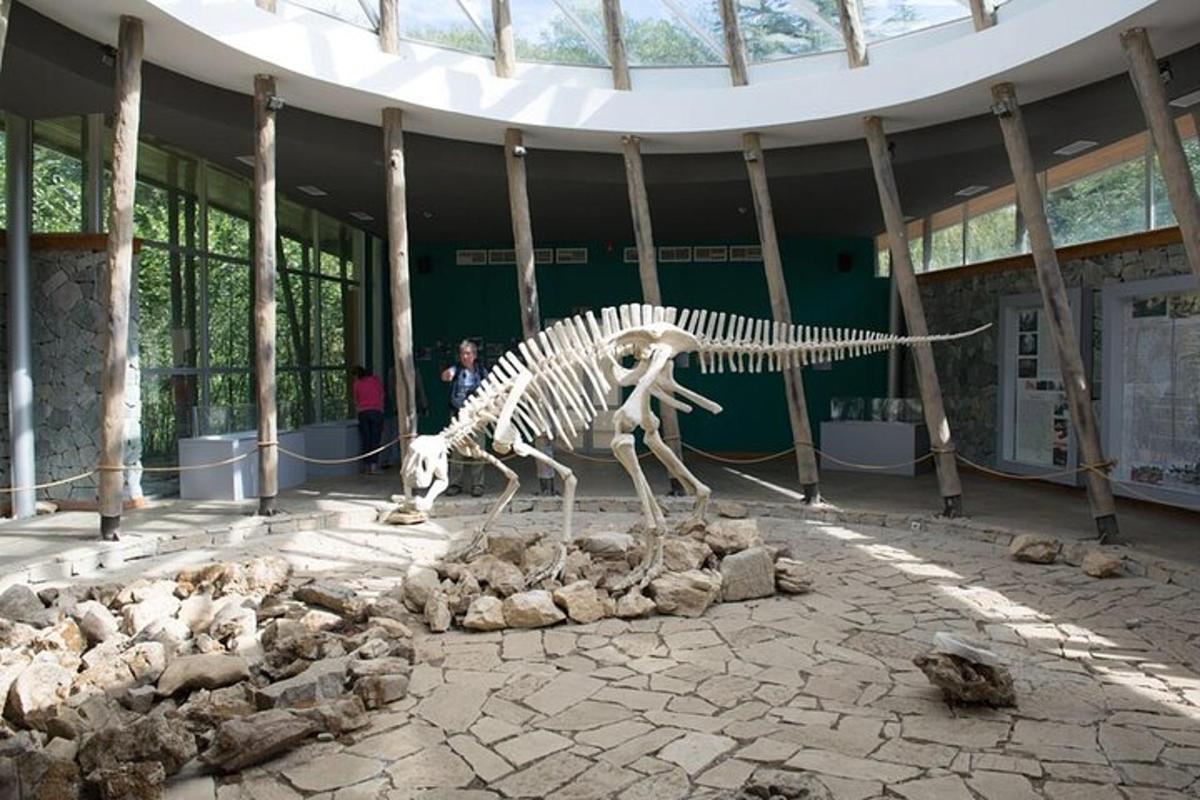 rangka dinosaur di hadapan sebuah bangunan