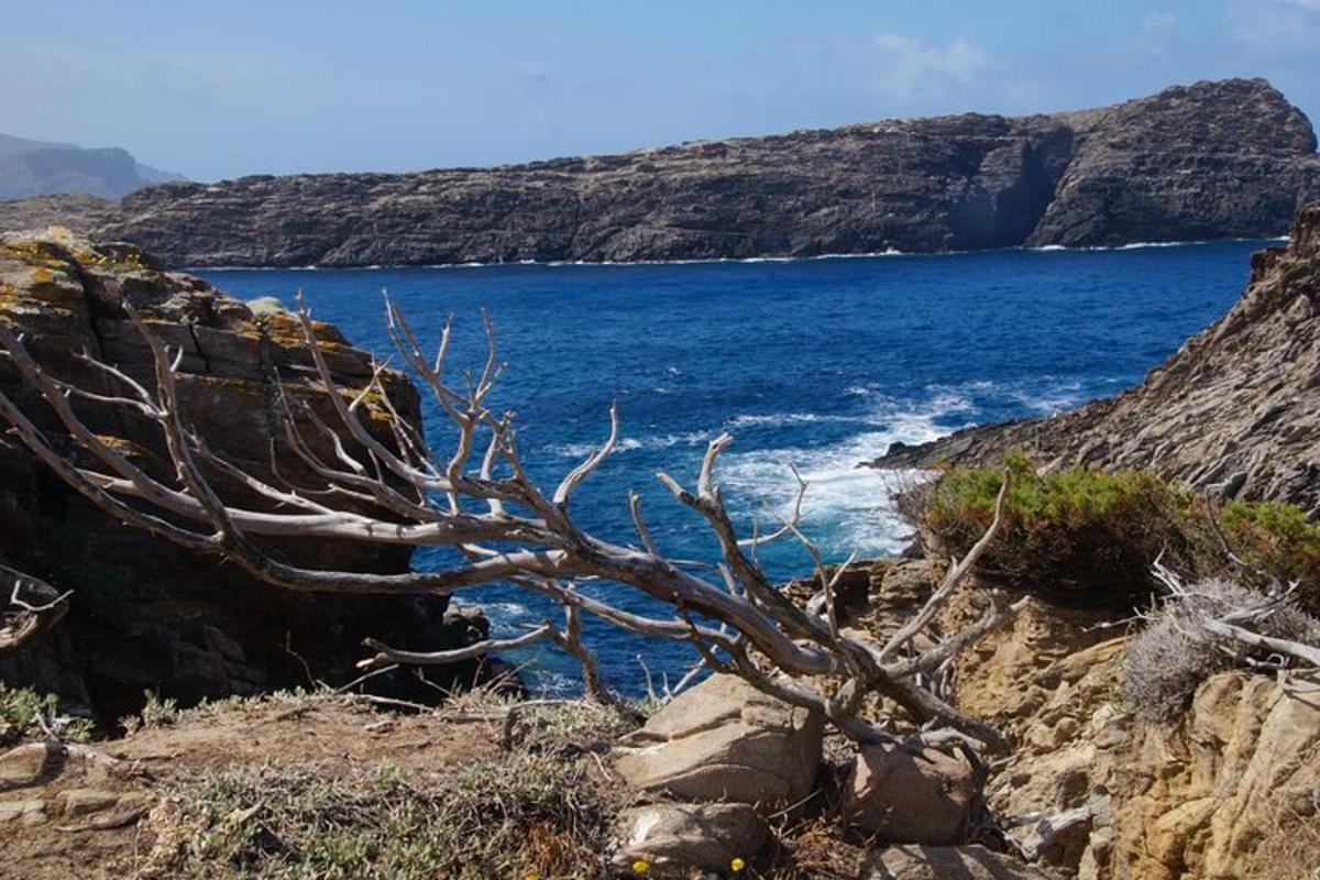 Lankytinos vietos ar pramogos nuotrauka numeris 2