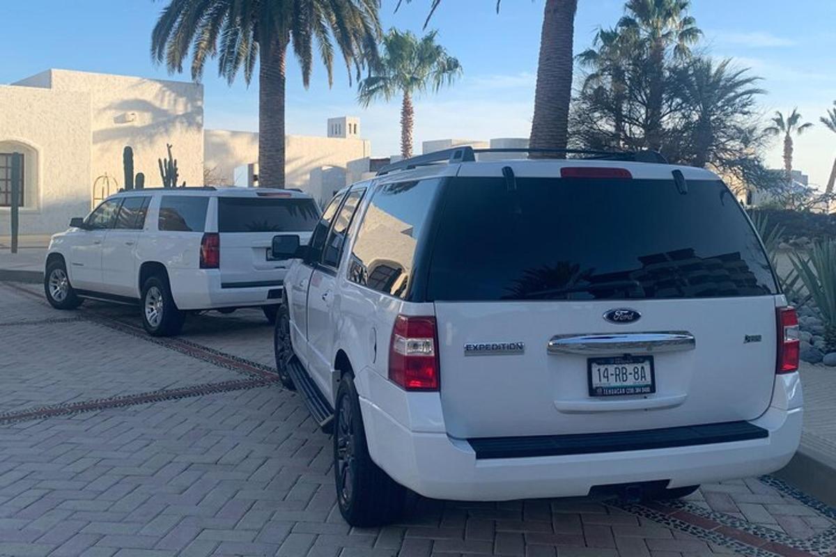 Dos vehículos blancos estacionados en un estacionamiento con palmeras.