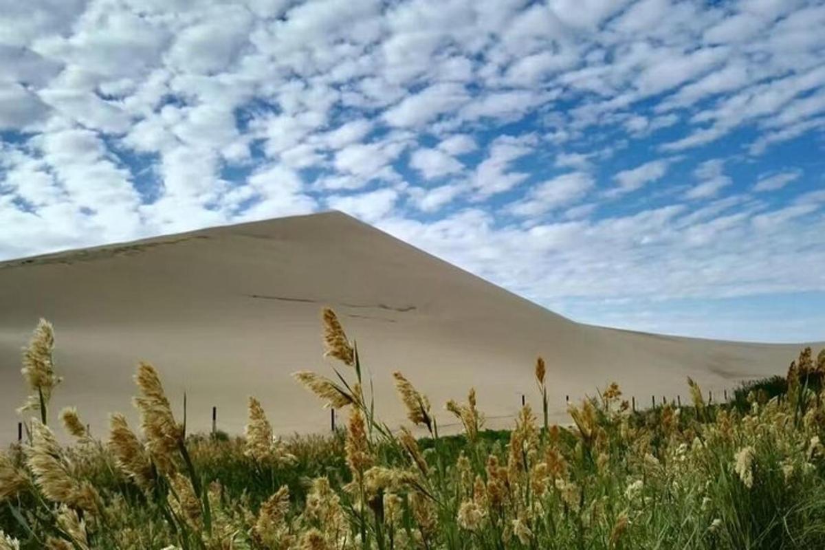 a large sand dune in the middle of a field