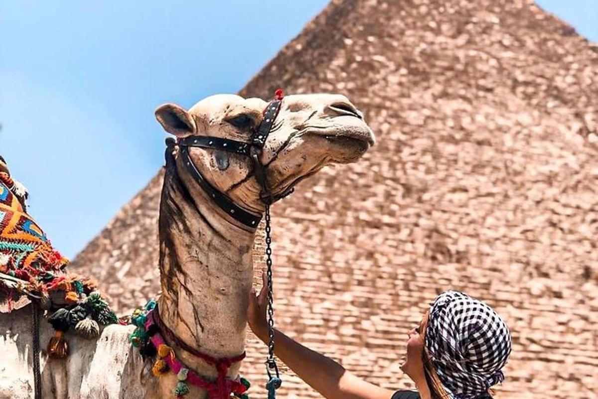 a person is holding a camel in front of a pyramid