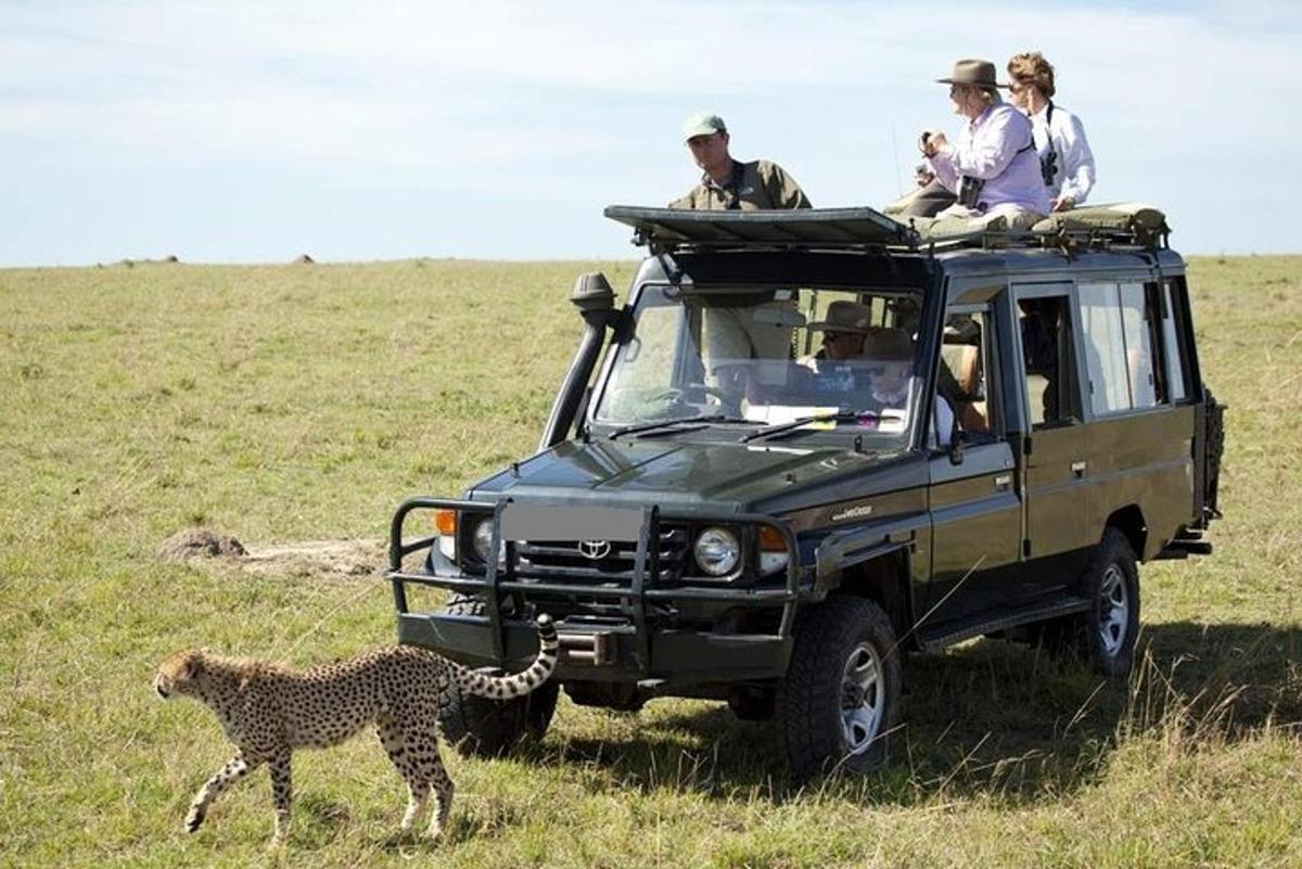 uma chita caminhando na frente de um jipe com um grupo de pessoas