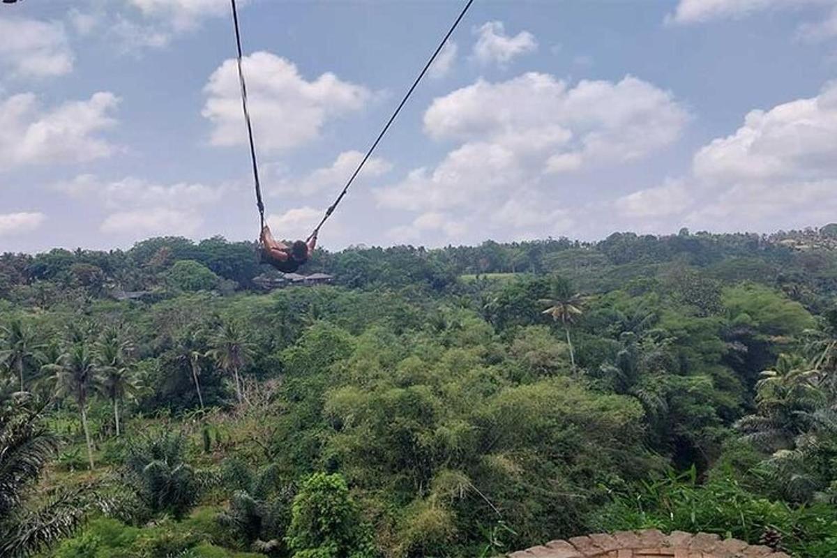 uma pessoa em uma tirolesa sobre uma floresta