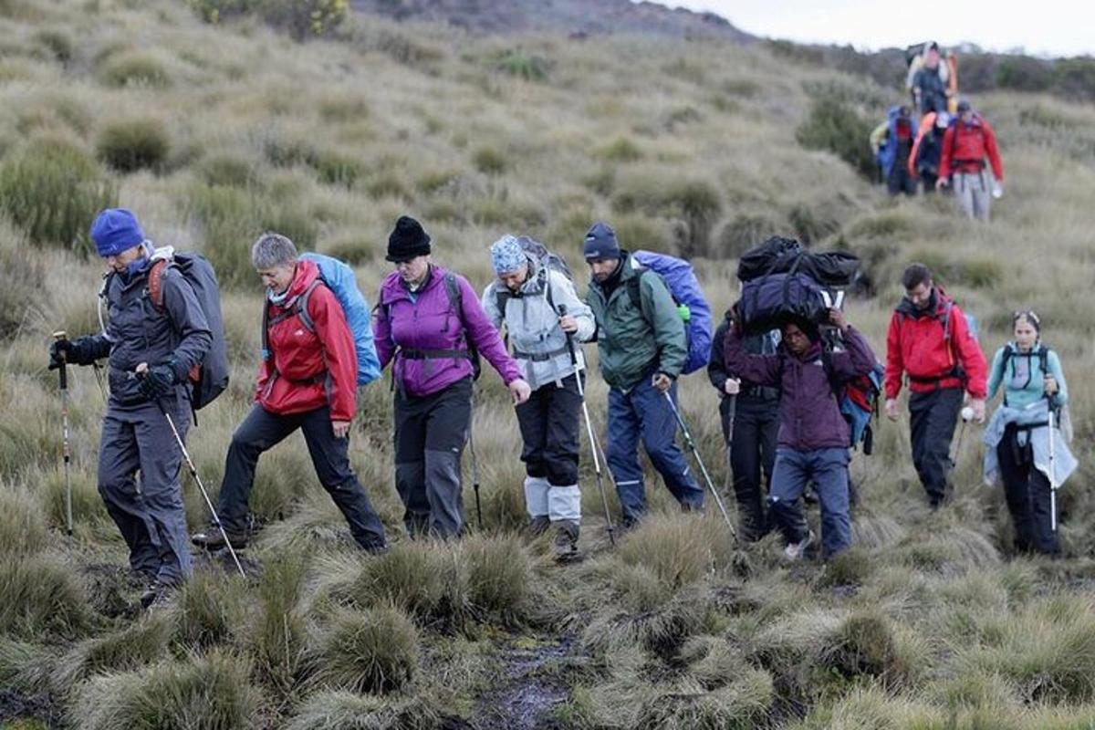 sekumpulan orang berjalan mendaki bukit