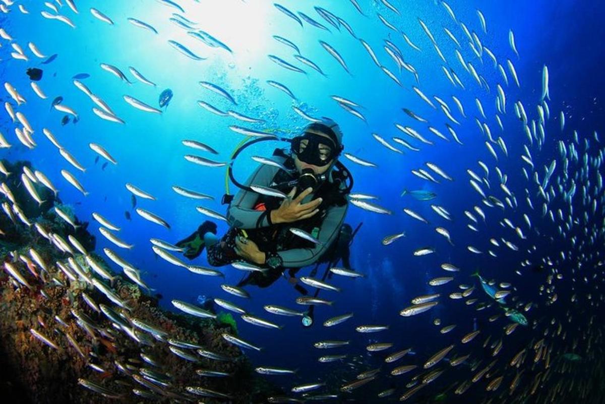 Un hombre con traje de buzo rodeado de un banco de peces.