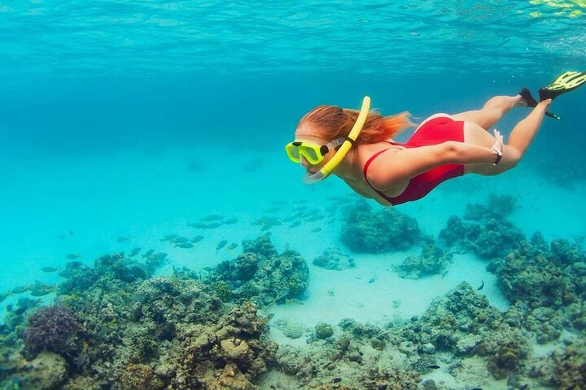 uma mulher de biquíni nadando sobre um recife de coral