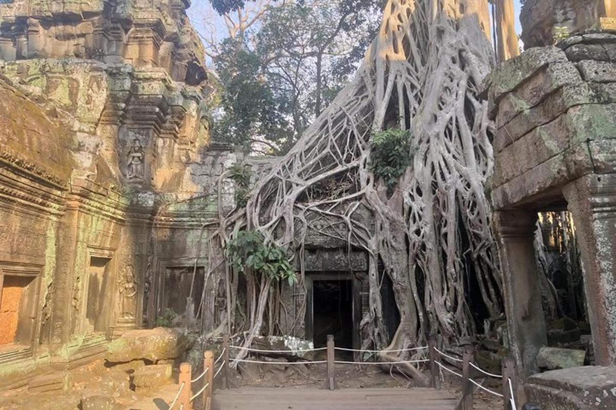 a building with a tree growing out of it