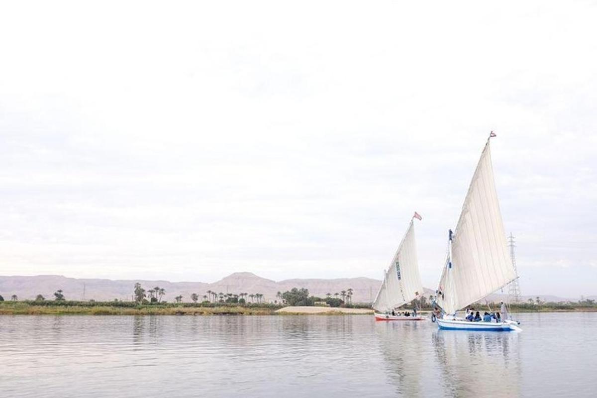 two sailboats on the water with mountains in the background