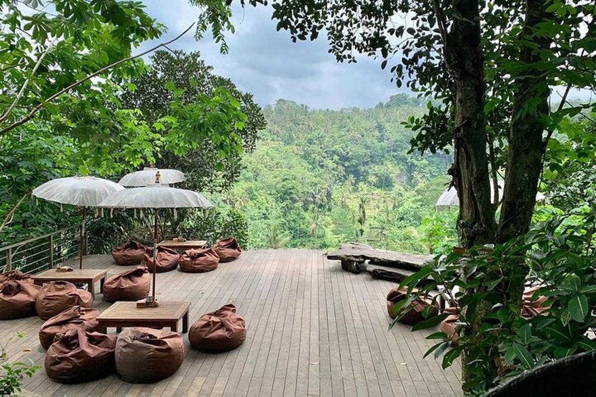 ein Deck mit Taschen und Regenschirmen in einem Wald