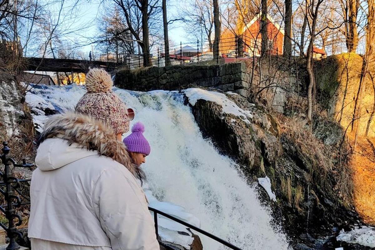 two people standing on a railing looking at a waterfall
