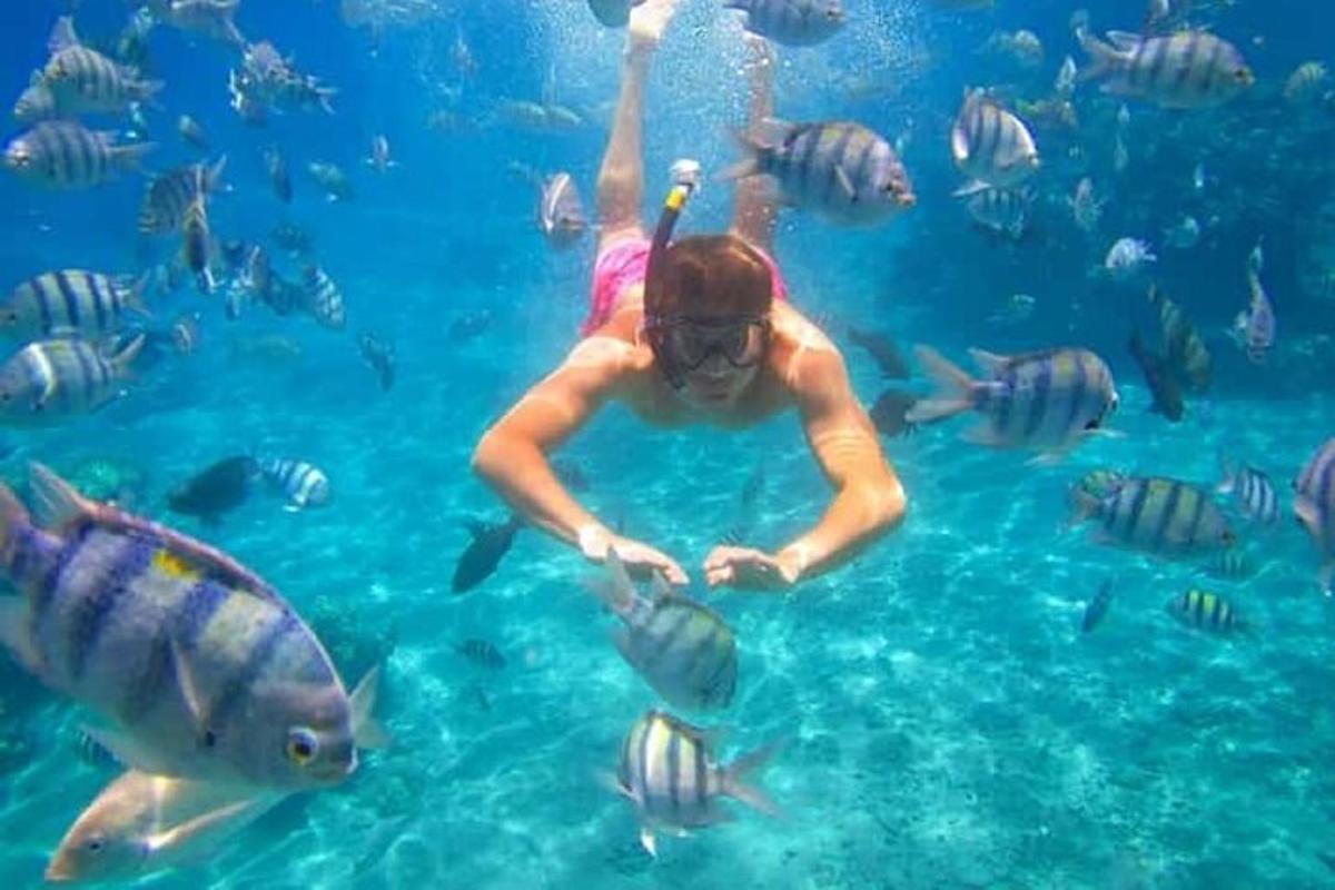 a person in the water with a group of fish