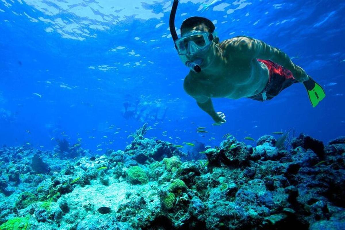 a person swimming over a coral reef
