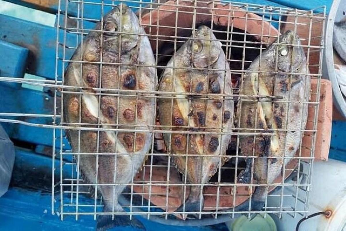 a basket full of fish in a cage