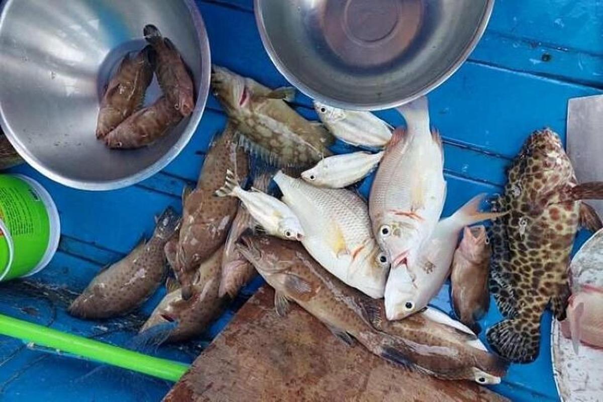 egy halom hal az asztalon egy fazékkal