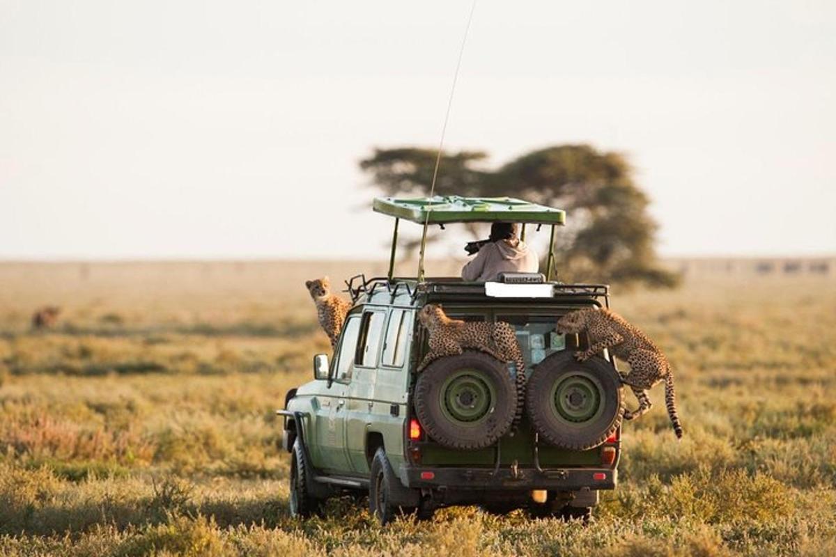 un home que viatja a la part posterior d'un jeep