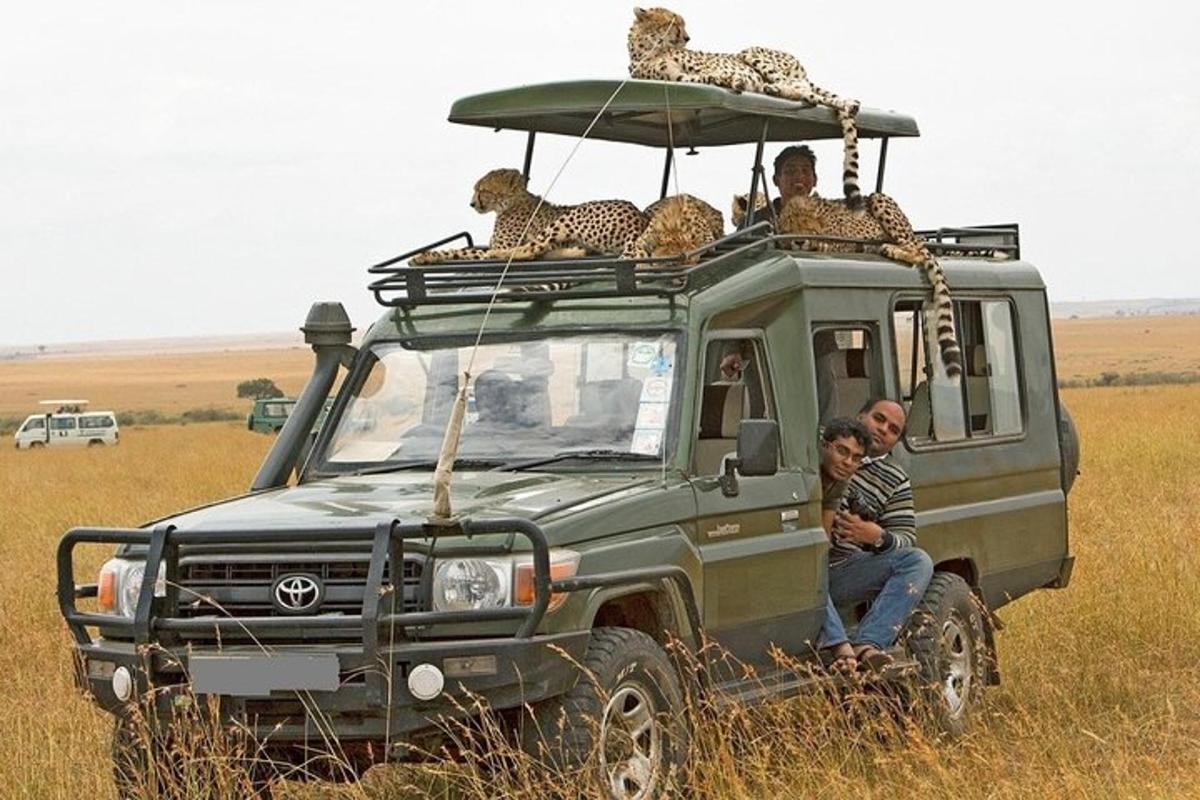 un grup de oameni așezați pe acoperișul unui vehicul de safari