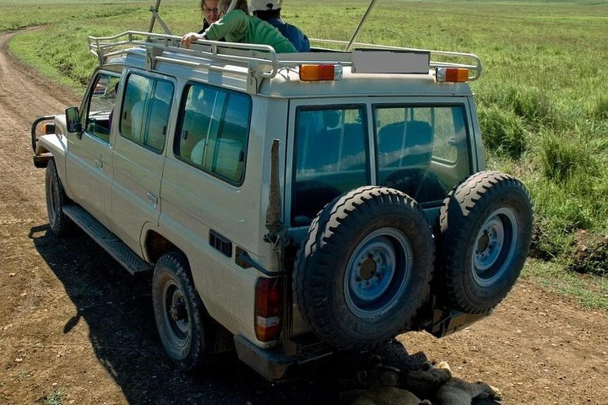 un jeep alb parcat pe un drum de pământ