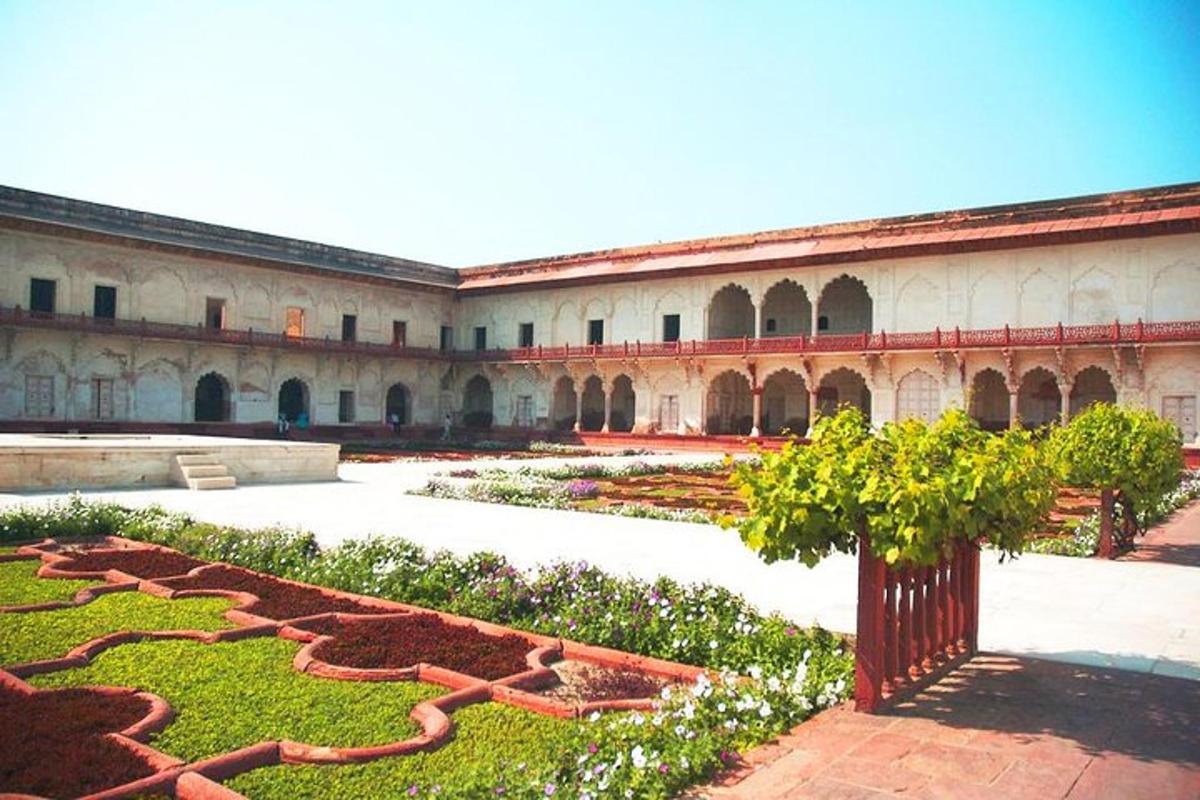 a courtyard with a garden in a building