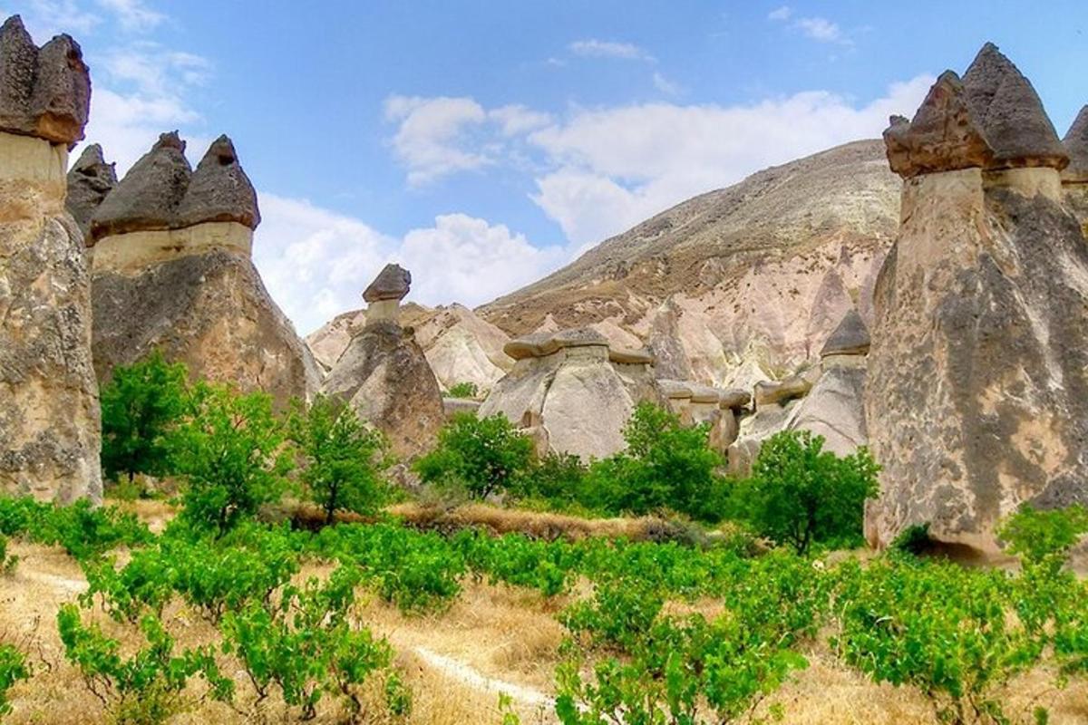un grup de stânci cu un munte în fundal