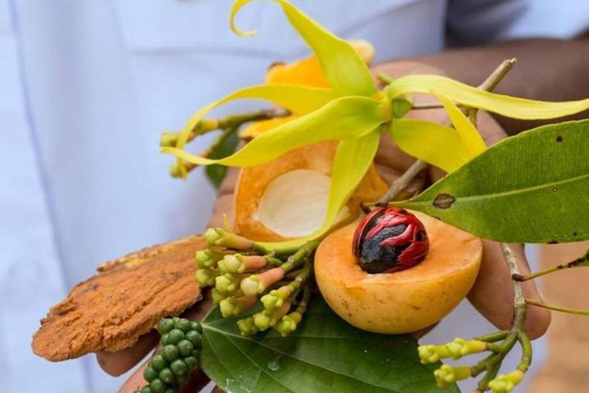 o persoană care ține o plantă cu un buchet de fructe