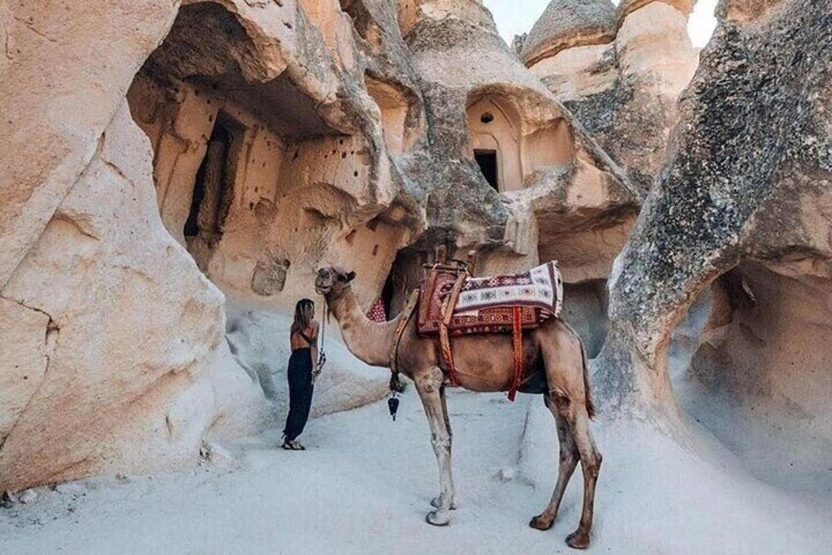 a woman standing next to a camel in a desert