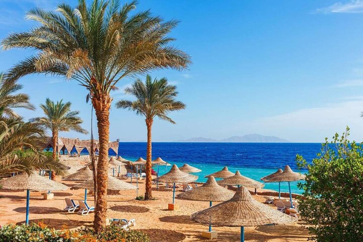 plaža sa suncobranima i palmama i ocean