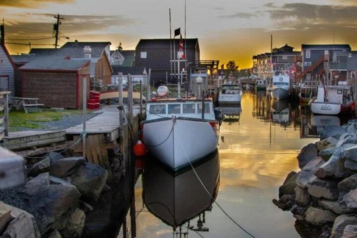 a group of boats are docked in a harbor