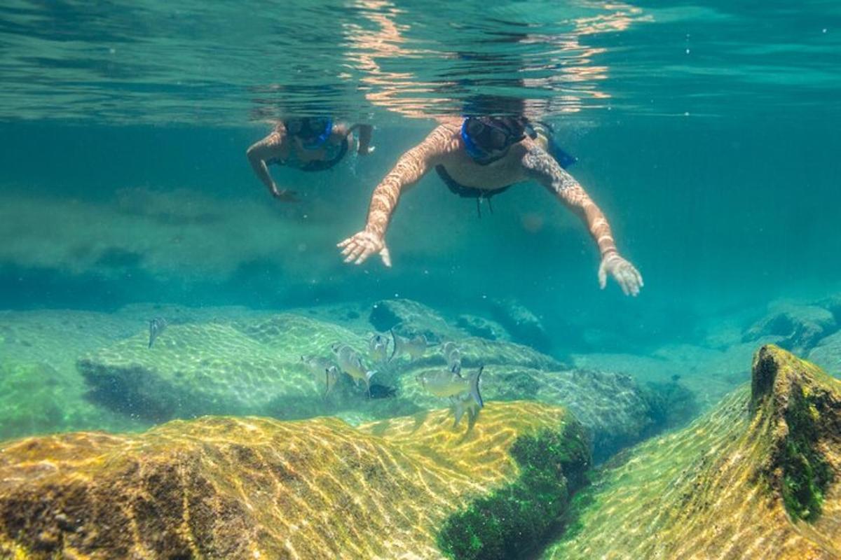 Lankytinos vietos ar pramogos nuotrauka numeris 7