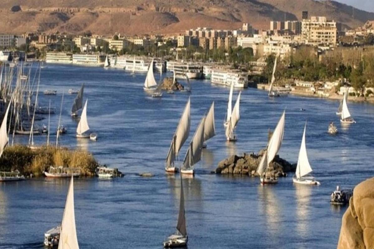 un gruppo di barche a vela su un fiume con una città