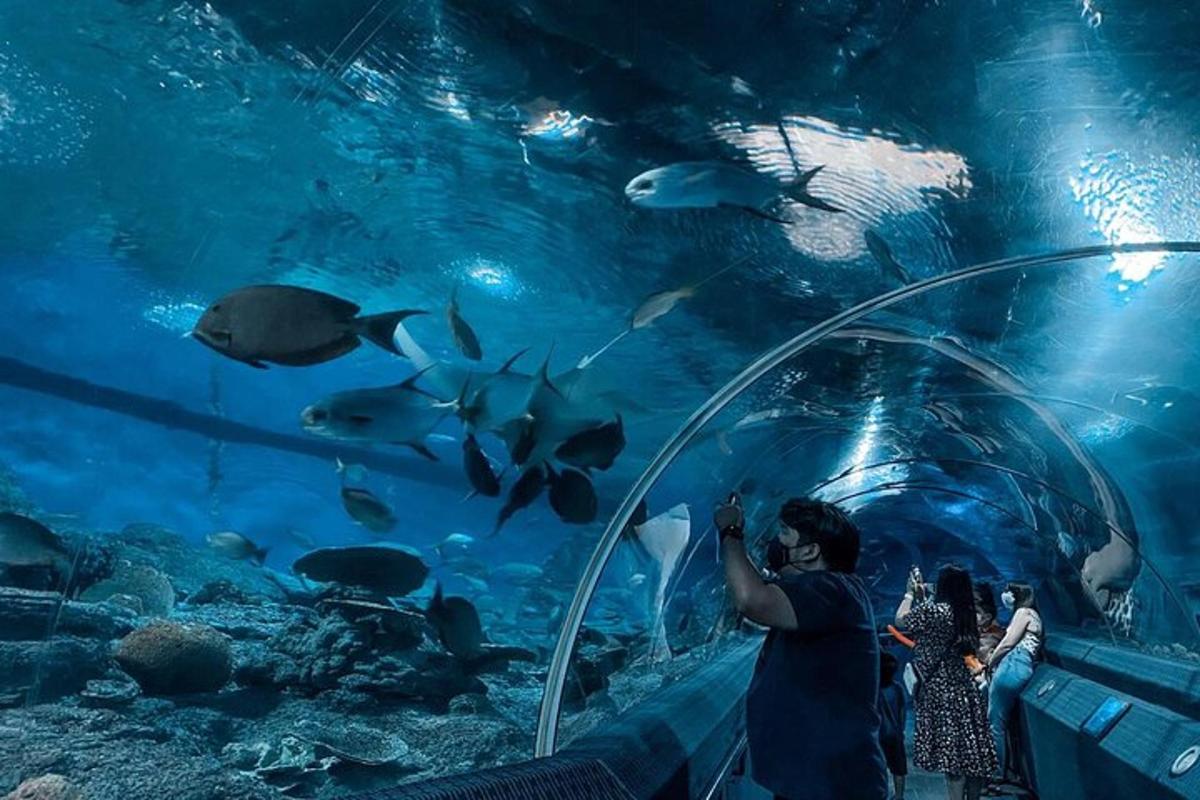 Attraction picture 2