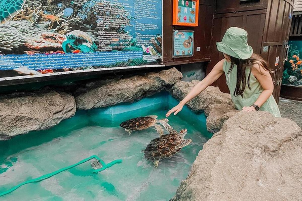 Turistik nokta fotoğrafı 6