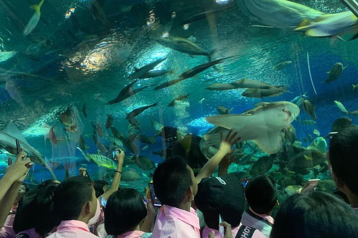Attraction picture 7