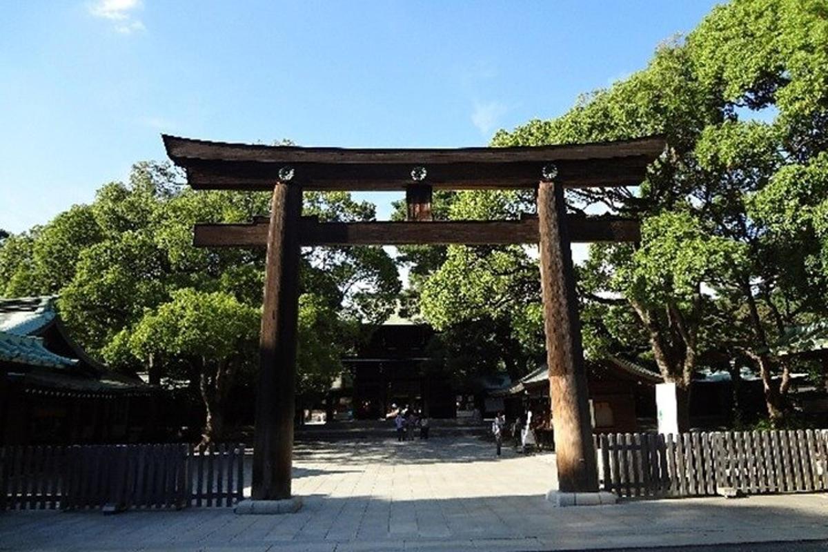 un cancello torii in un parco con alberi
