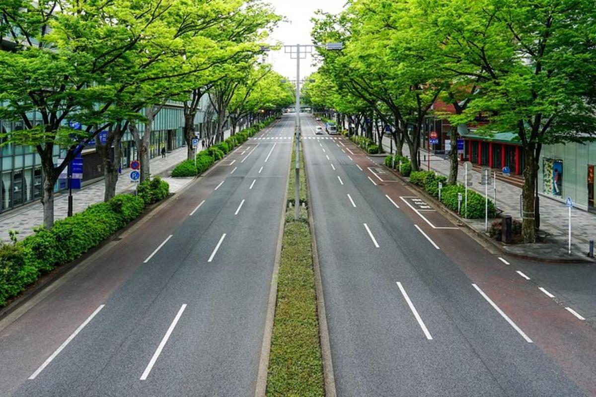 an empty street with trees on both sides of the road
