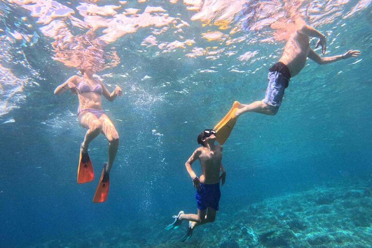 3人が水中で泳いでいます