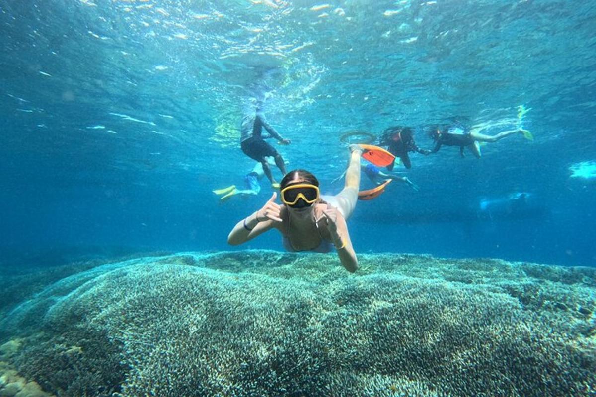 o persoană înoată în ocean