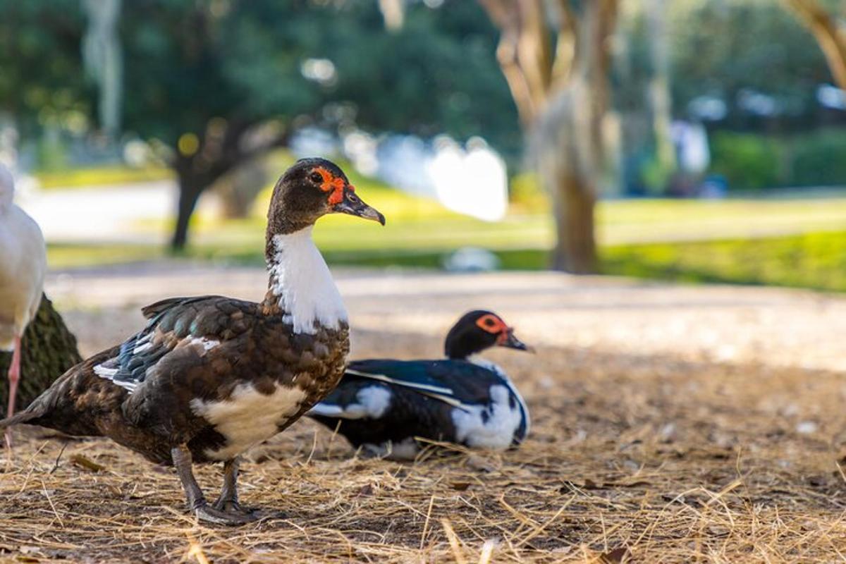 Turistik nokta fotoğrafı 6