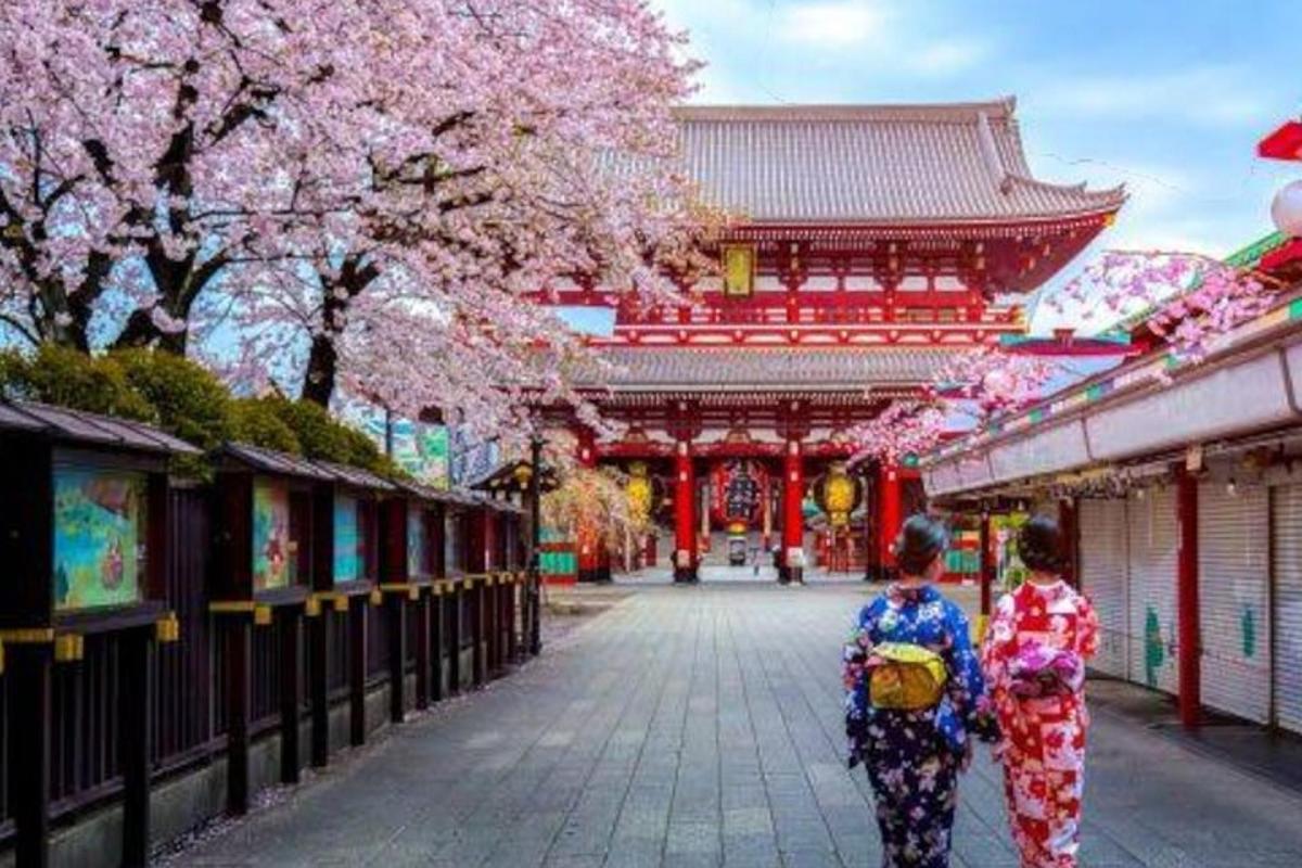 dues dones amb quimonos caminant per un carrer amb arbres sakura