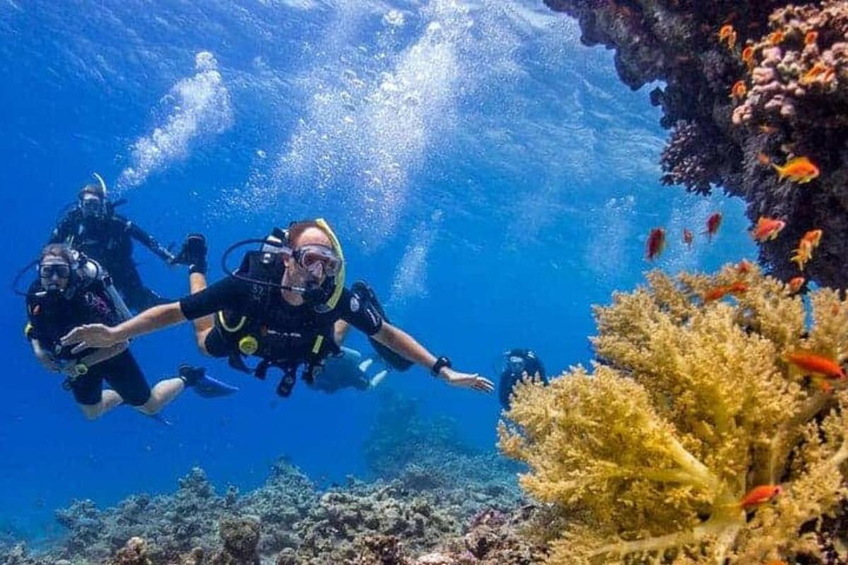 skupina lidí plave nad korálovým útesem