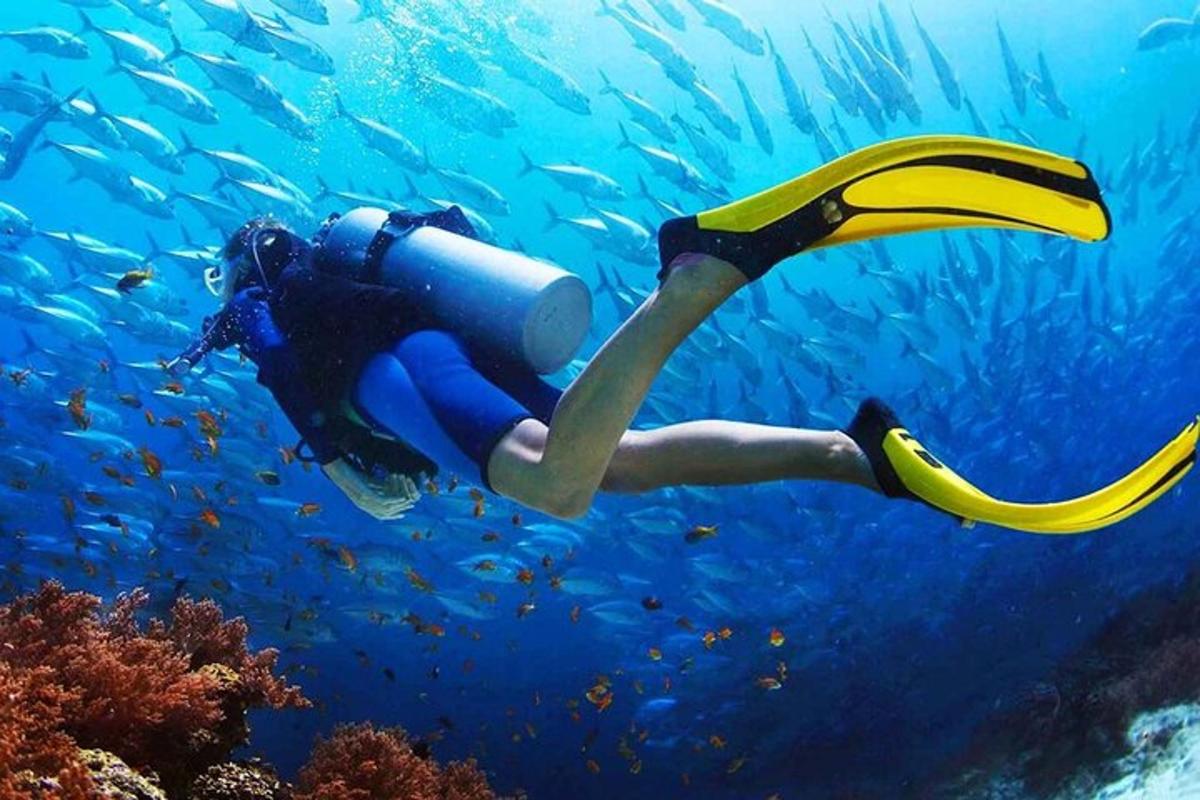 شخص يسبح في المحيط بالماء