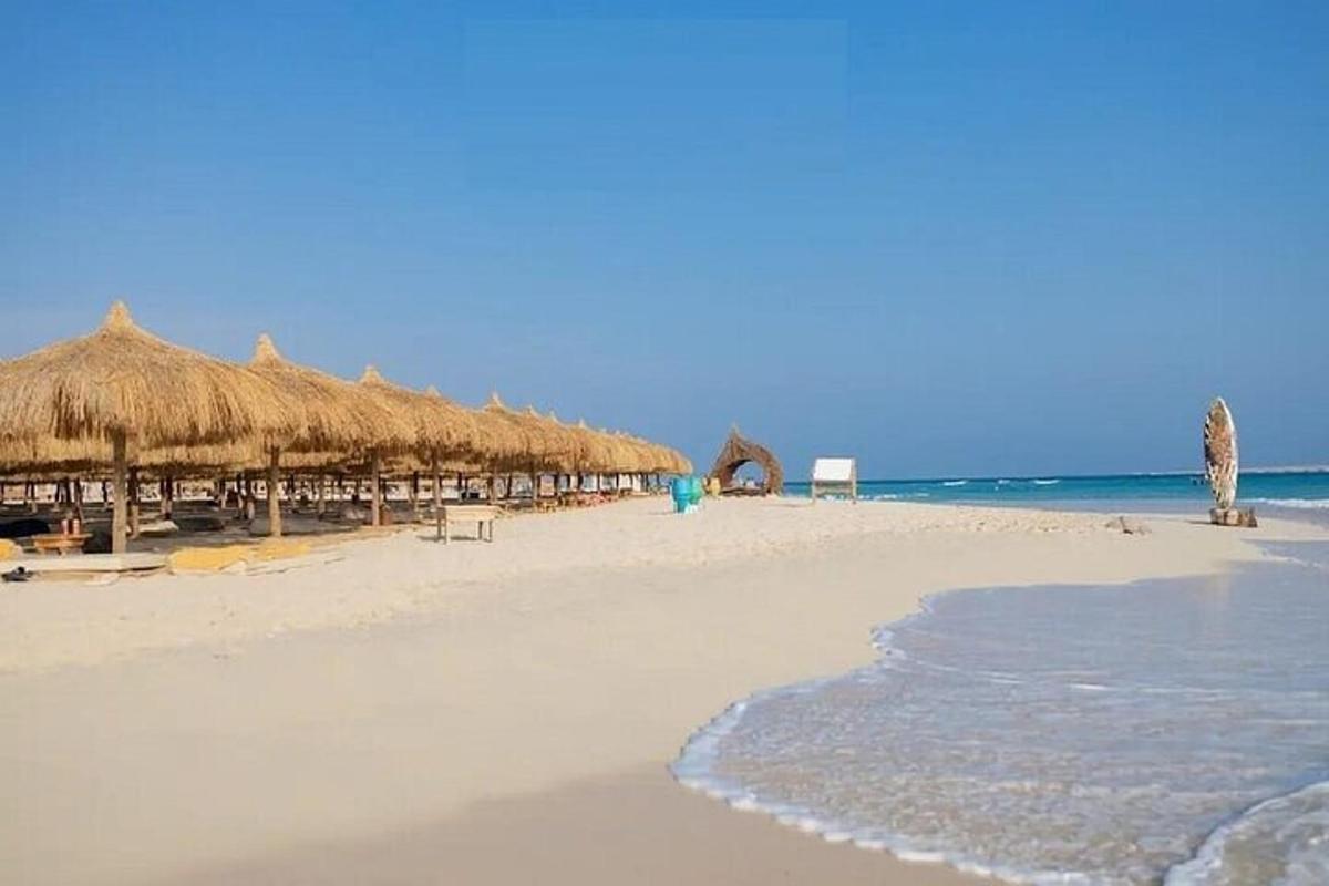 uma praia com muitos guarda-sóis de palha e o oceano