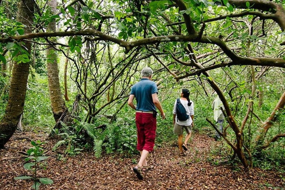 dua orang berjalan menyusuri denai di dalam hutan