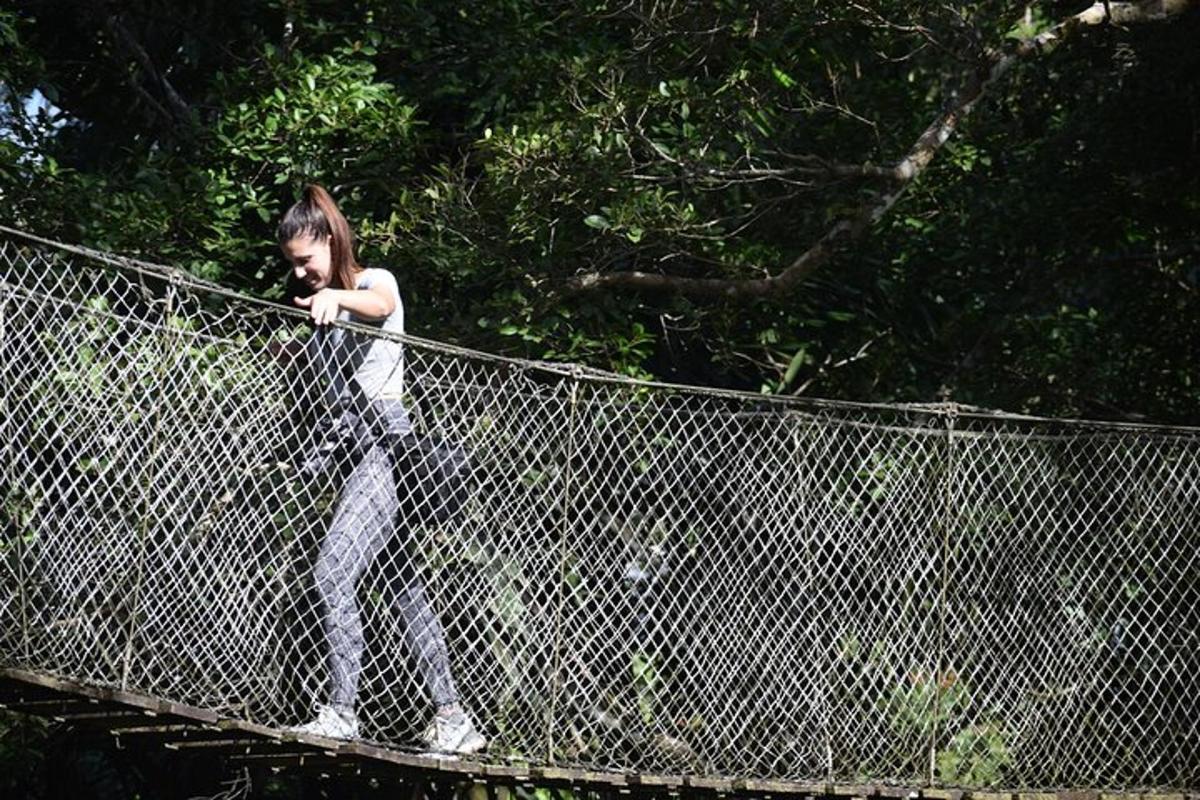a woman standing on top of a fence