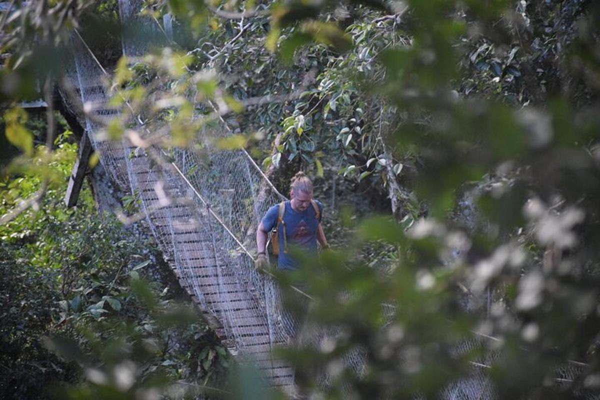 a man walking on a swinging bridge in the jungle